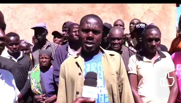 Likuyani farmer left in shock as assailants break into cattle shed, cut legs of his bulls