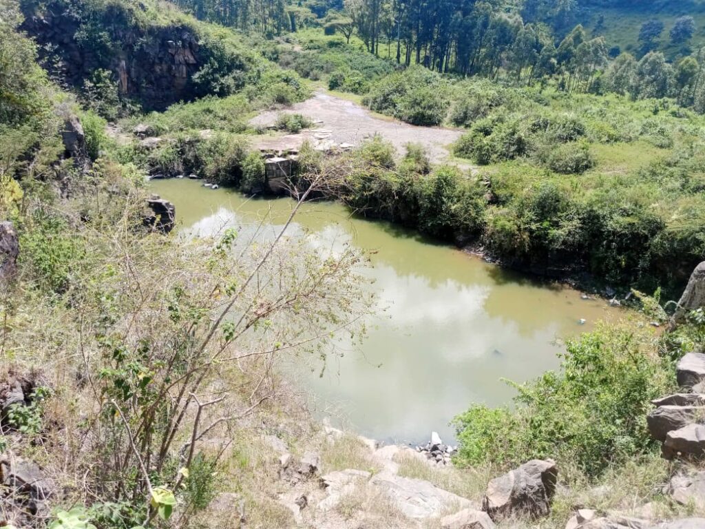 A deep, abandoned quarry filled with murky water, surrounded by rocky edges and dense overgrown vegetation, with trees and shrubs stretching into the distance.