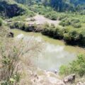 A deep, abandoned quarry filled with murky water, surrounded by rocky edges and dense overgrown vegetation, with trees and shrubs stretching into the distance.