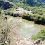 A deep, abandoned quarry filled with murky water, surrounded by rocky edges and dense overgrown vegetation, with trees and shrubs stretching into the distance.