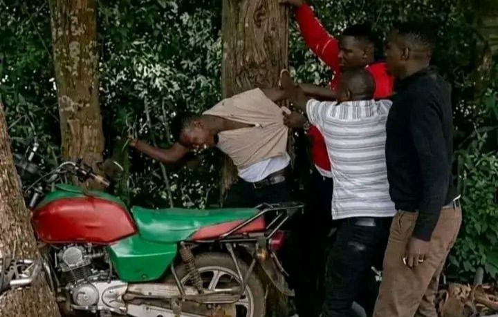 Several men attack a man pinned against a tree next to a motorcycle in a wooded area, with one person restraining him while others confront him.