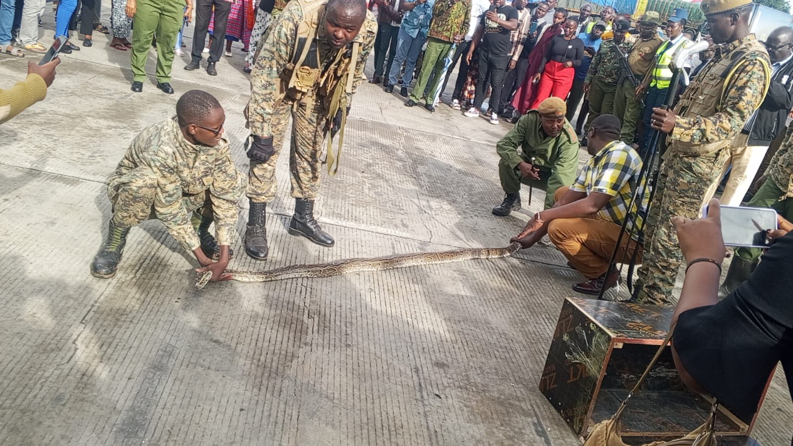 Uniformed officers handling a long python on the ground near an open decorative box, with onlookers and security personnel surrounding the scene at a border point in Namanga.
