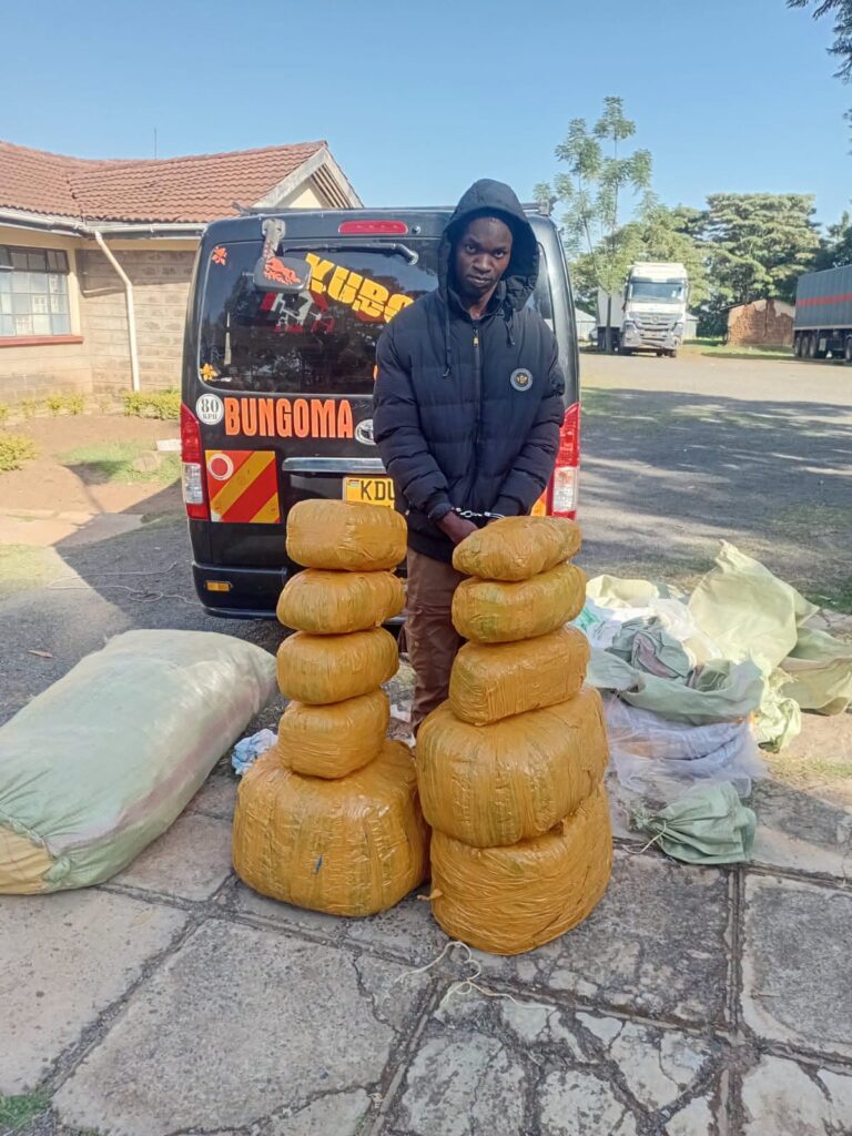 A handcuffed suspect wearing a black hooded jacket stands in front of a black Bungoma shuttle van with multiple yellow-wrapped bales of cannabis sativa and green sacks recovered during a police operation at Lumakanda Police Station.