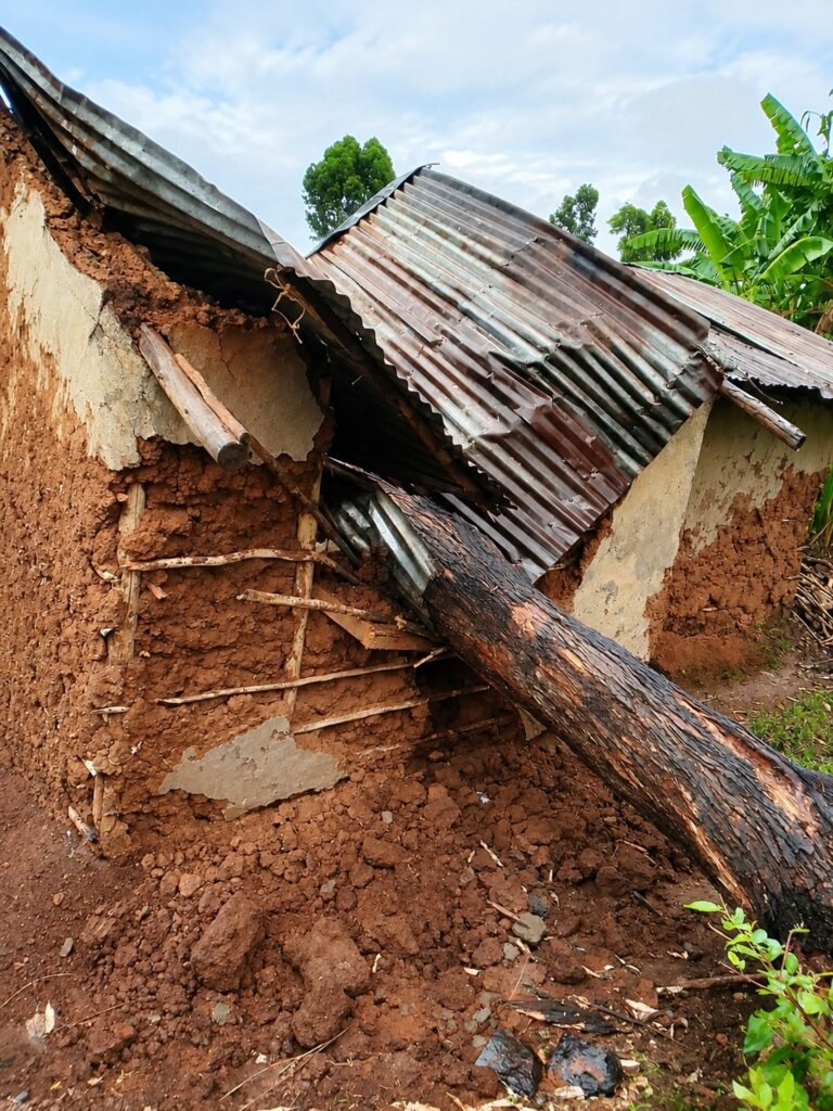 Lugari family escapes tragedy after falling tree splits house in two, but they’re still living in the wreckage 