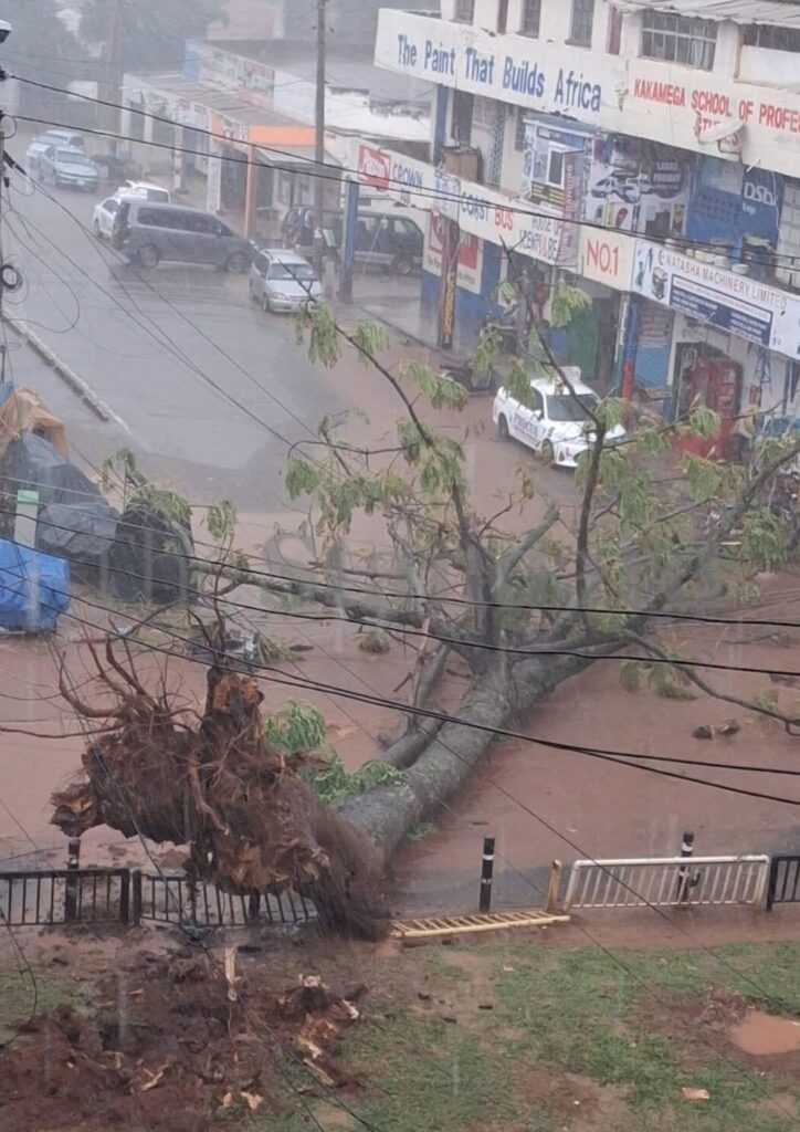 Storm Kakamega town as residents fault county preparedness